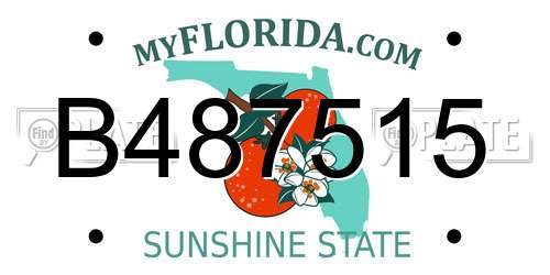 B487515 Florida License Plate