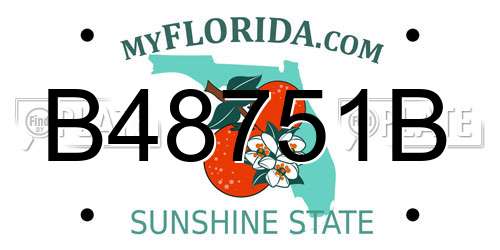 B48751B Florida License Plate