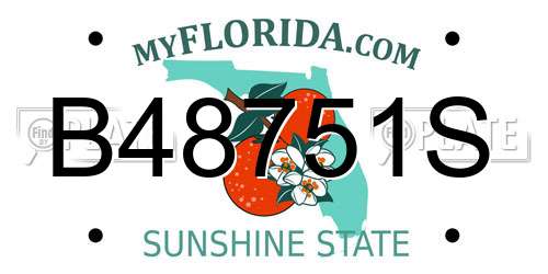 B48751S Florida License Plate