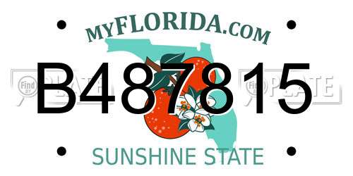 B487815 Florida License Plate