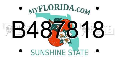 B487818 Florida License Plate
