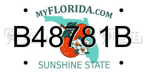 B48781B Florida License Plate
