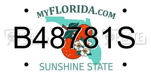 B48781S Florida License Plate