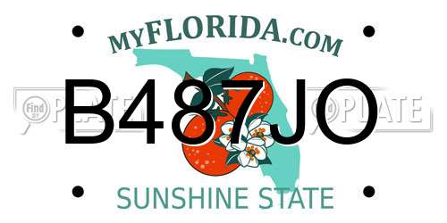 B487JO Florida License Plate