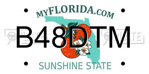 B48DTM Florida License Plate