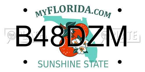 B48DZM Florida License Plate