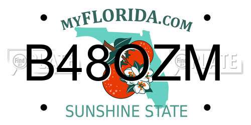 B48OZM Florida License Plate