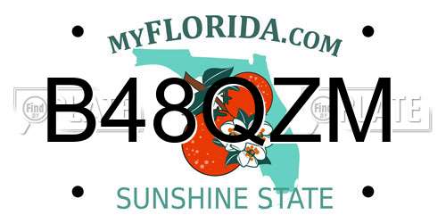 B48QZM Florida License Plate