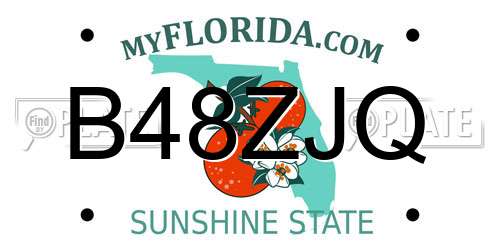 B48ZJQ Florida License Plate