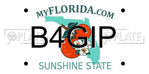 B4GIP Florida License Plate