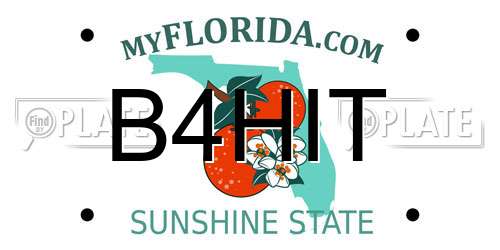 B4HIT Florida License Plate