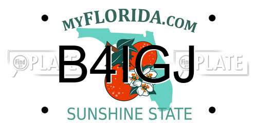 B4IGJ Florida License Plate