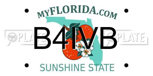 B4IVB Florida License Plate