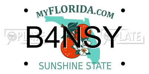 B4NSY Florida License Plate