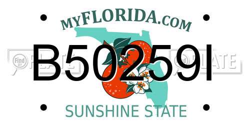 B50259I Florida License Plate