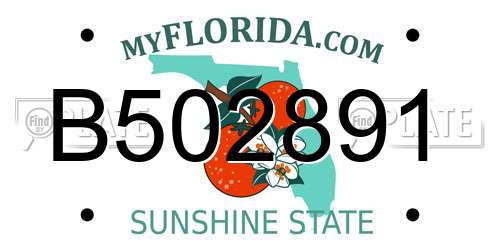 B502891 Florida License Plate