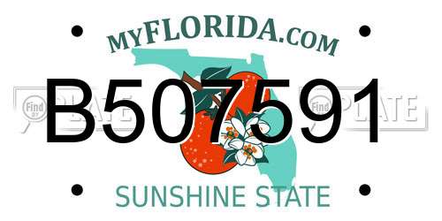 B507591 Florida License Plate