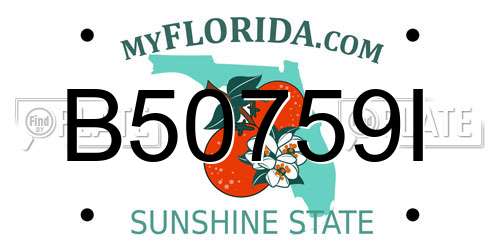 B50759I Florida License Plate