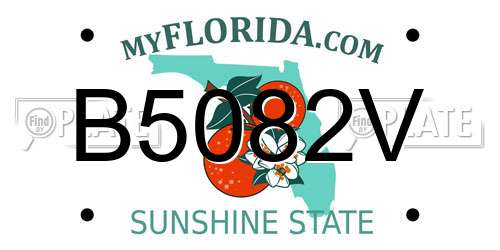 B5082V Florida License Plate