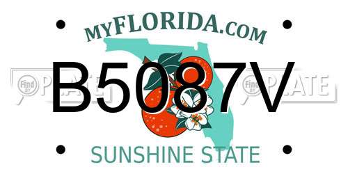 B5087V Florida License Plate