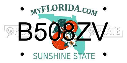 B508ZV Florida License Plate