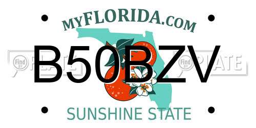 B50BZV Florida License Plate