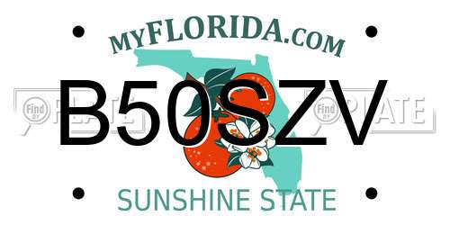 B50SZV Florida License Plate