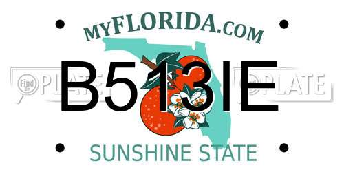 B513IE Florida License Plate