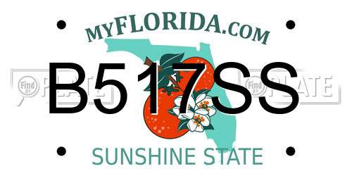 B517SS Florida License Plate