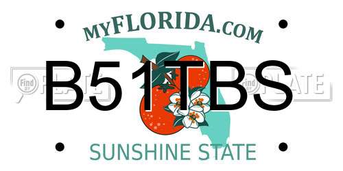 B51TBS Florida License Plate