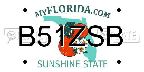B51ZSB Florida License Plate