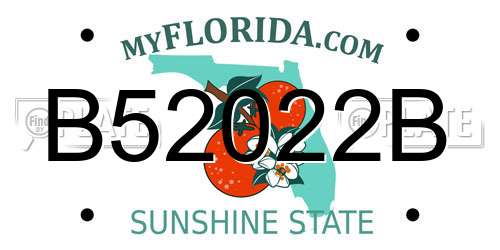 B52022B Florida License Plate