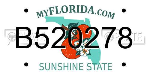 B520278 Florida License Plate