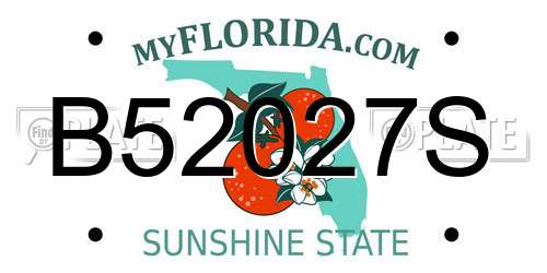 B52027S Florida License Plate