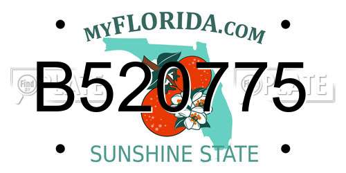 B520775 Florida License Plate