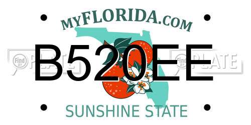B520EE Florida License Plate