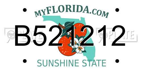 B521212 Florida License Plate