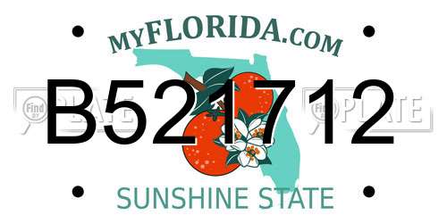 B521712 Florida License Plate