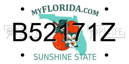 B52171Z Florida License Plate
