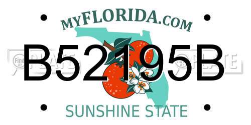 B52195B Florida License Plate
