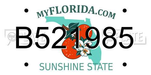B521985 Florida License Plate