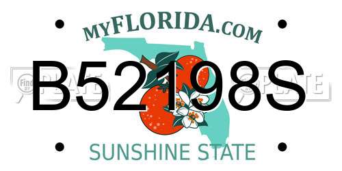 B52198S Florida License Plate