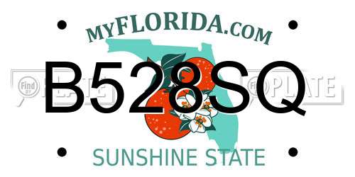 B528SQ Florida License Plate