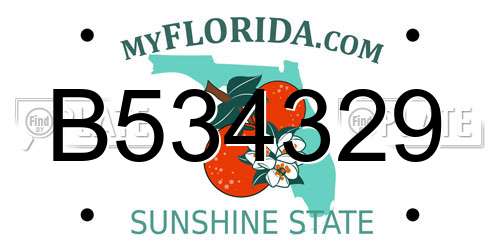 B534329 Florida License Plate