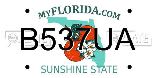 B537UA Florida License Plate