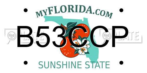 B53CCP Florida License Plate