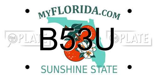 B53U Florida License Plate