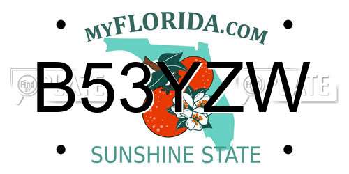 B53YZW Florida License Plate