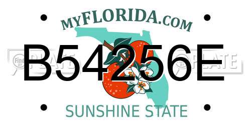 B54256E Florida License Plate