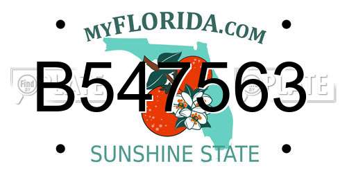 B547563 Florida License Plate